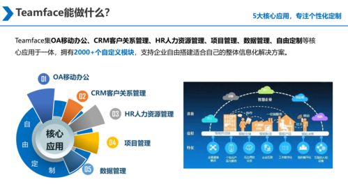 大型集團企業(yè)信息化建設(shè) 源代碼采購與二次開發(fā)的戰(zhàn)略抉擇